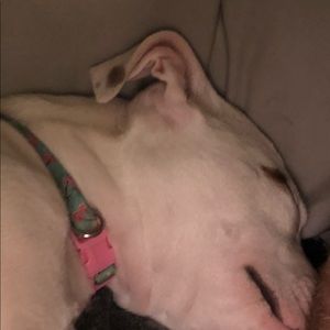 Meet your Posher, Ethan